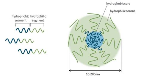 An Illustration Of Polymer Micelle Formation As A Coreshell Structure