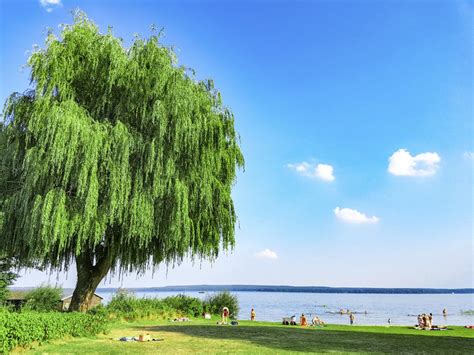 Zu Den Badestellen Der Einheimischen Geheimtipp Radtour Plauer See