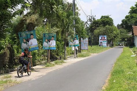 APK Masih Banyak Dipaku Di Pohon Di Wilayah Pakusari Jember Kembali