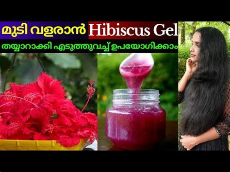 How To Prepare Hibiscus Gel Home Hibiscus Gel For Hair Growth Best