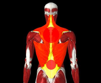 MINIWELL - UniversoColchon