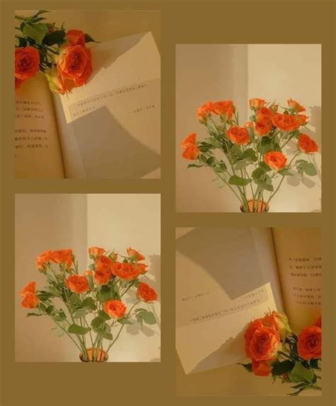 Pin by Linh Ăn Đào 🍑 on để vào đây và không nói gì | Pretty wallpaper ...