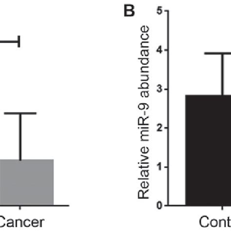 Evaluation Of The Expression Level Of Mir In The Tissue And Serum Of