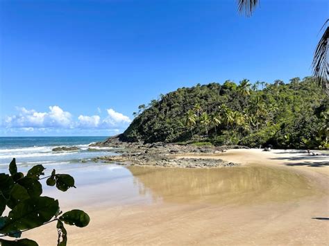 Palmeiras Altas Nas Praias De Itacar Bahia Na Trilha Das Praias