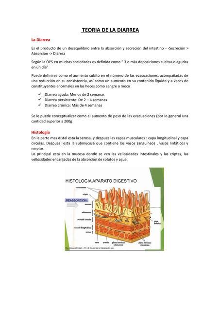 Diarrea Fisiopatolog A Notwhatuthink Udocz