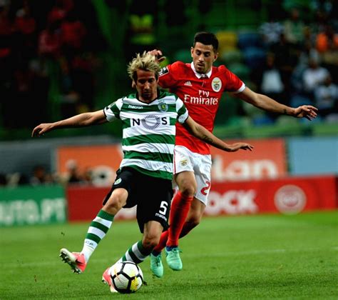 portugal lisbon soccer benfica  sporting