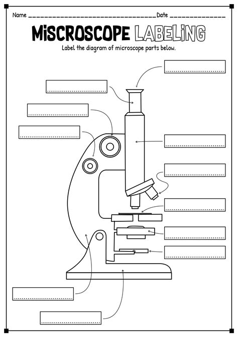 15 Printable Microscope Worksheet - Free PDF at worksheeto.com ...