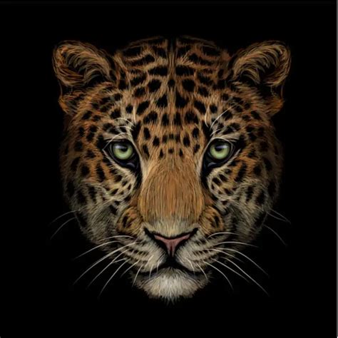 The Jaguar Tattoo: What It Means, What You Should Know, and Ideas For ...