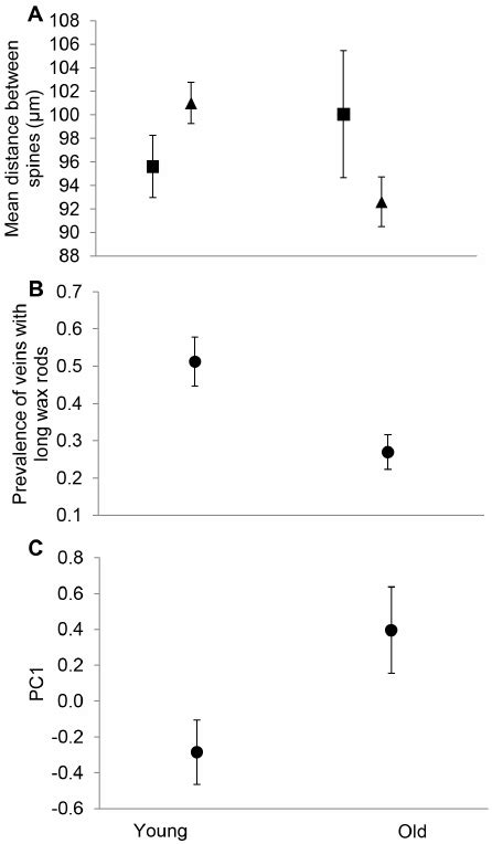 Micro And Nanoscale Morphological Measurements Mean 6 1se Across Sex