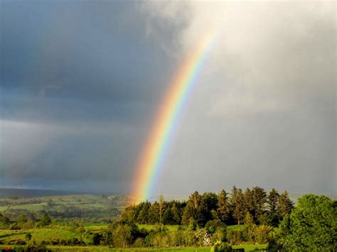 Rainbow | Пикабу