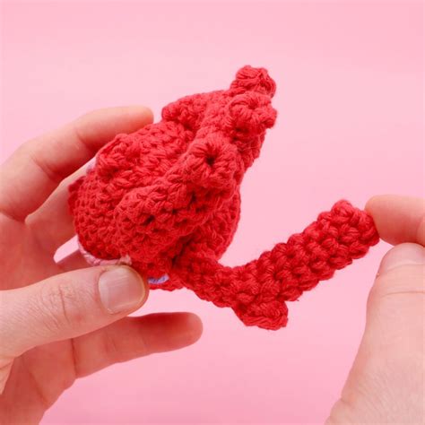 Anatomical Heart Amigurumi – Club Crochet