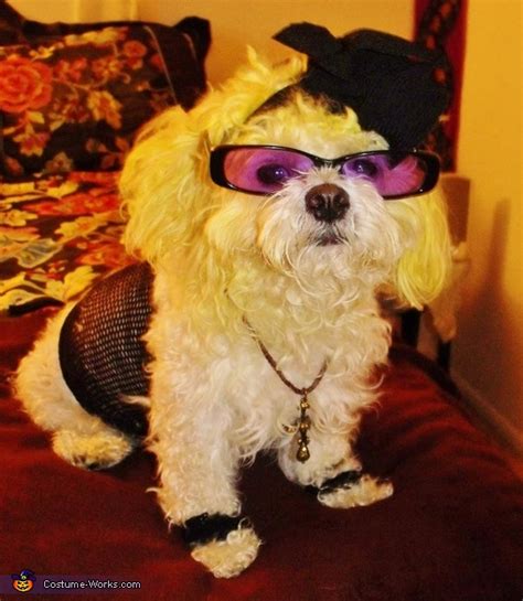 madonna dogs costume diy costumes