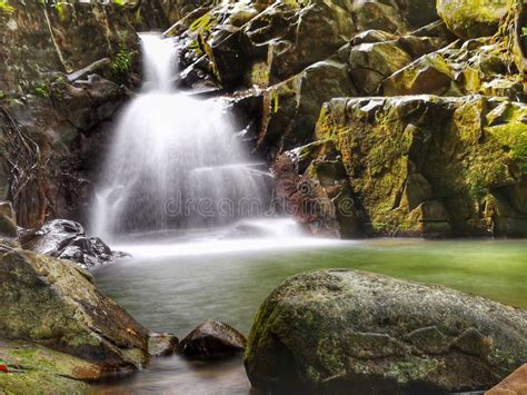 Corriente Lisa Sedosa Hermosa De La Cascada En La Selva Tropical Sabah