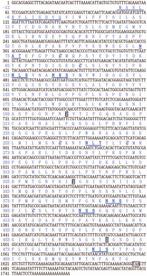 Nucleotide And Deduced Amino Acid Sequences Of CfAChE The Amino Acid