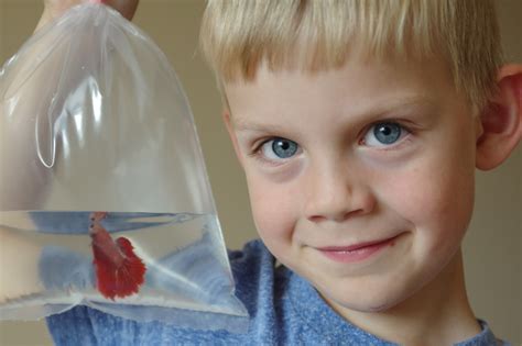 6 лет « peter1dav