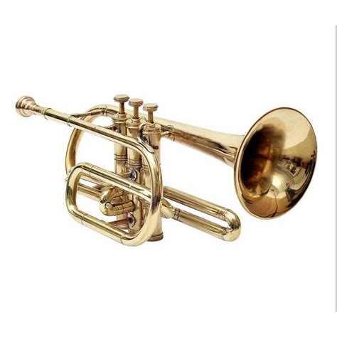 cornet echo cornet latest price manufacturers suppliers