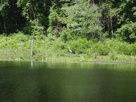 Higganum Reservoir State Park The A To Z Of Ct State Parks