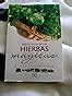 Enciclopedia De Las Hierbas M Gicas Sin Coleccion Cunningham Scott