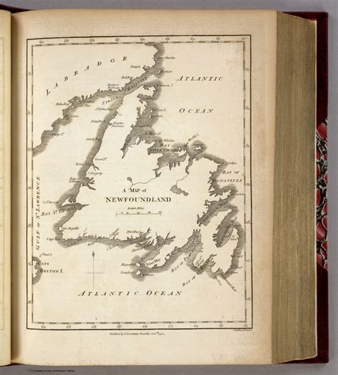 Map of Newfoundland. - David Rumsey Historical Map Collection
