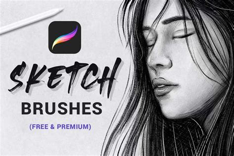 Best Procreate Sketch Brushes Free Premium