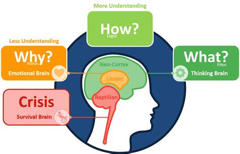 Classic Learning Research in Practice - Triune Brain - Connect to your ...