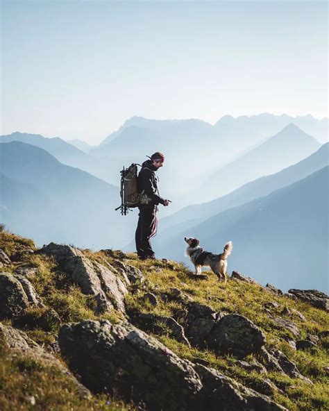 Best Hiking Trails in the Alps of Austria