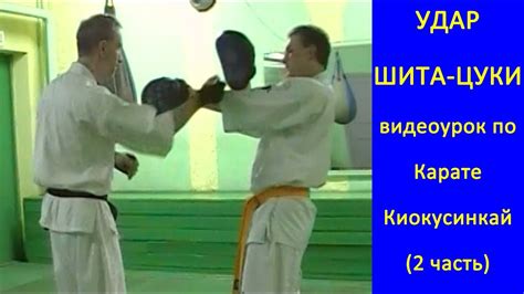 УРОКИ Каратэ Киокушинкай - Удар Шита-цуки урок № (часть 2) - YouTube