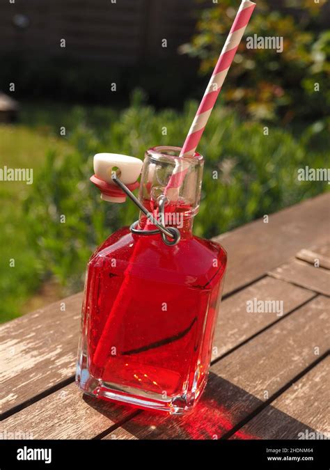 juice lemonade soft drink juices lemonades limo soda soft drinks