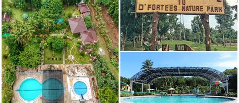 Dfortees Nature Park A Nature Themed Escape In Davao