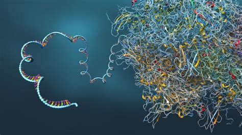 synthetic biology tool comprehensively reveals gene regulatory networks