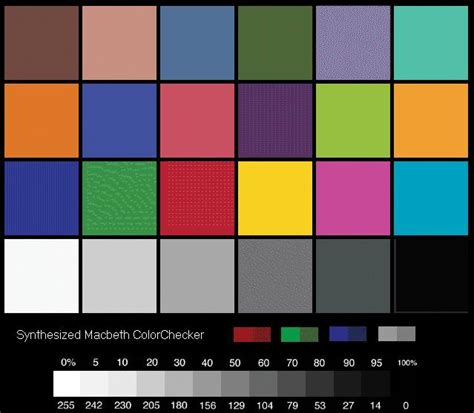 Color Samples Chip Chart For Colour Stock Vector Adobe 56 Off