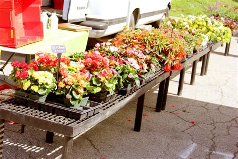 Hamburg Farmers Market Village Of Hamburg New York