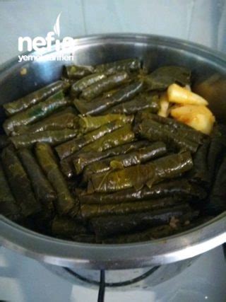 Nefis Taze Yaprak Sarmas Nefis Yemek Tarifleri