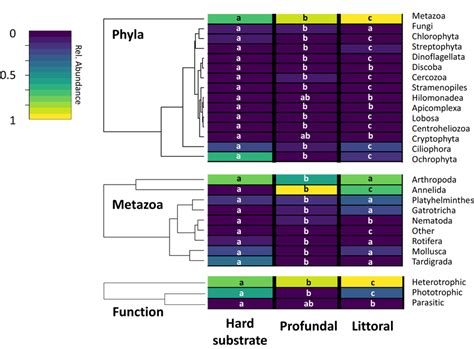 Heatmaps Showing The Abundances Of Eukaryotic Phyla A Metazoa B