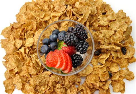 Cereal with fruits stock image. Image of berry, dietary - 17037945