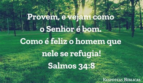 Versículos Sobre A Bondade De Deus - O que a Bíblia diz sobre a bondade de Deus (reflexão e exemplos ...