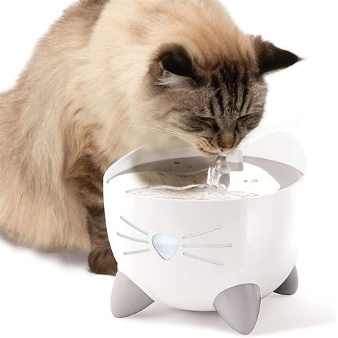 The Best Water Fountains For Cats