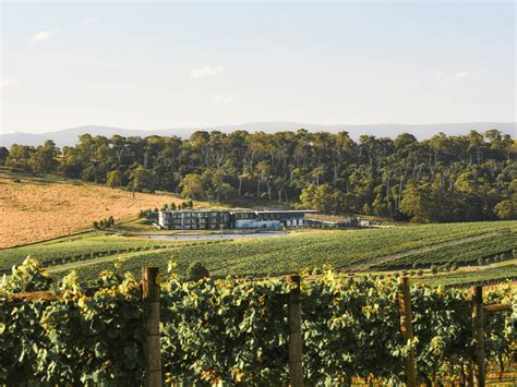 yarra valley wineries  australian traveller
