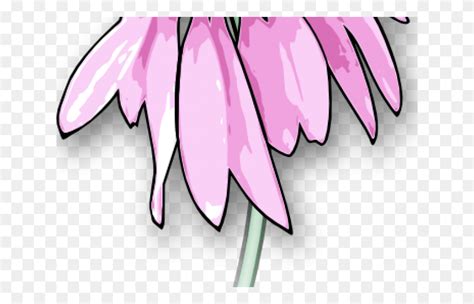 How To Draw A Dead Flower Dead Flower Drawing Cartoon Plant Petal