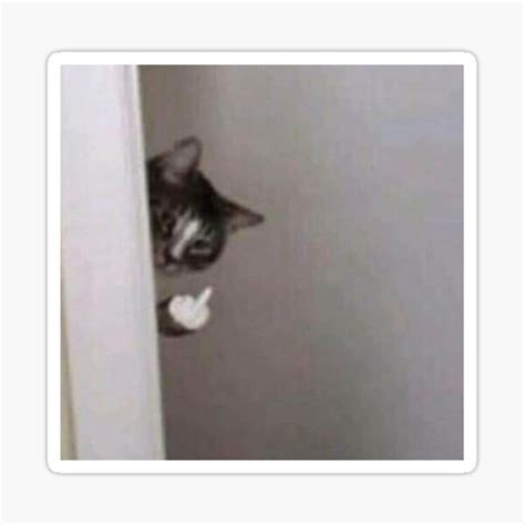 Fuck You Cat Sticker By Pelizsombi Redbubble