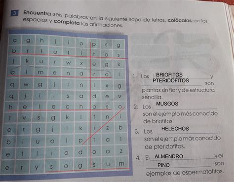 En La Siguiente Sopa De Letras Resalte Las Palabras Relacionadas Con