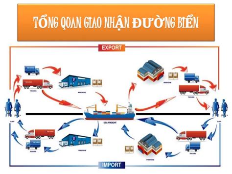 Quy trình giao nhận hàng hóa nhập khẩu