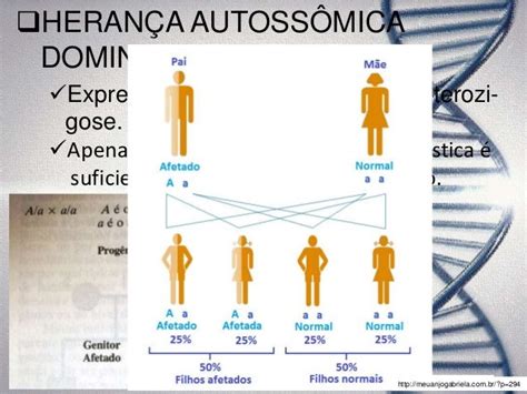 O Que Significa Recessiva - Herança autossômica recessiva e herança dominante