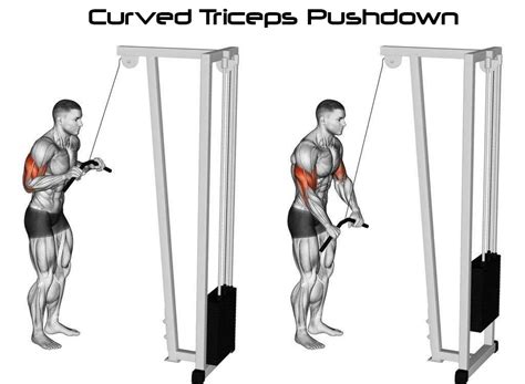 How To Triceps Pushdown Technique And Types Video And Guide