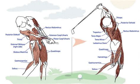 Heal My Swing Golf Instruction Performing Your Golf Swing Optimally