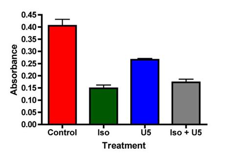 Inhibition of proliferation in H69 cells by the β adrenergic agonist