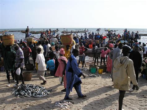 Free Images : beach, sea, sand, people, crowd, canoe, fishing, africa