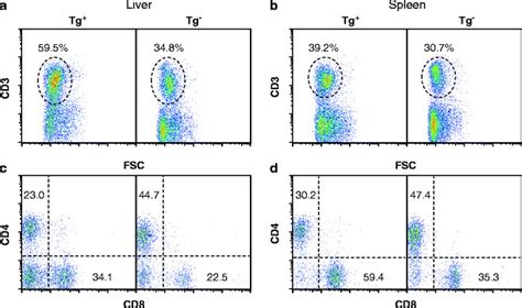 Flow Cytometry Analysis Of Lymphoid Cells From Liver And Spleen Of