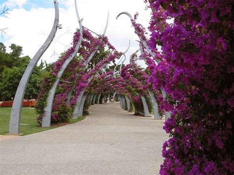 South Bank Walkway Parklands South Bank Brisbane Park Graphy