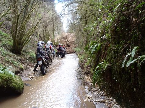 p3090337.jpg | Servimg.com - Free image hosting service